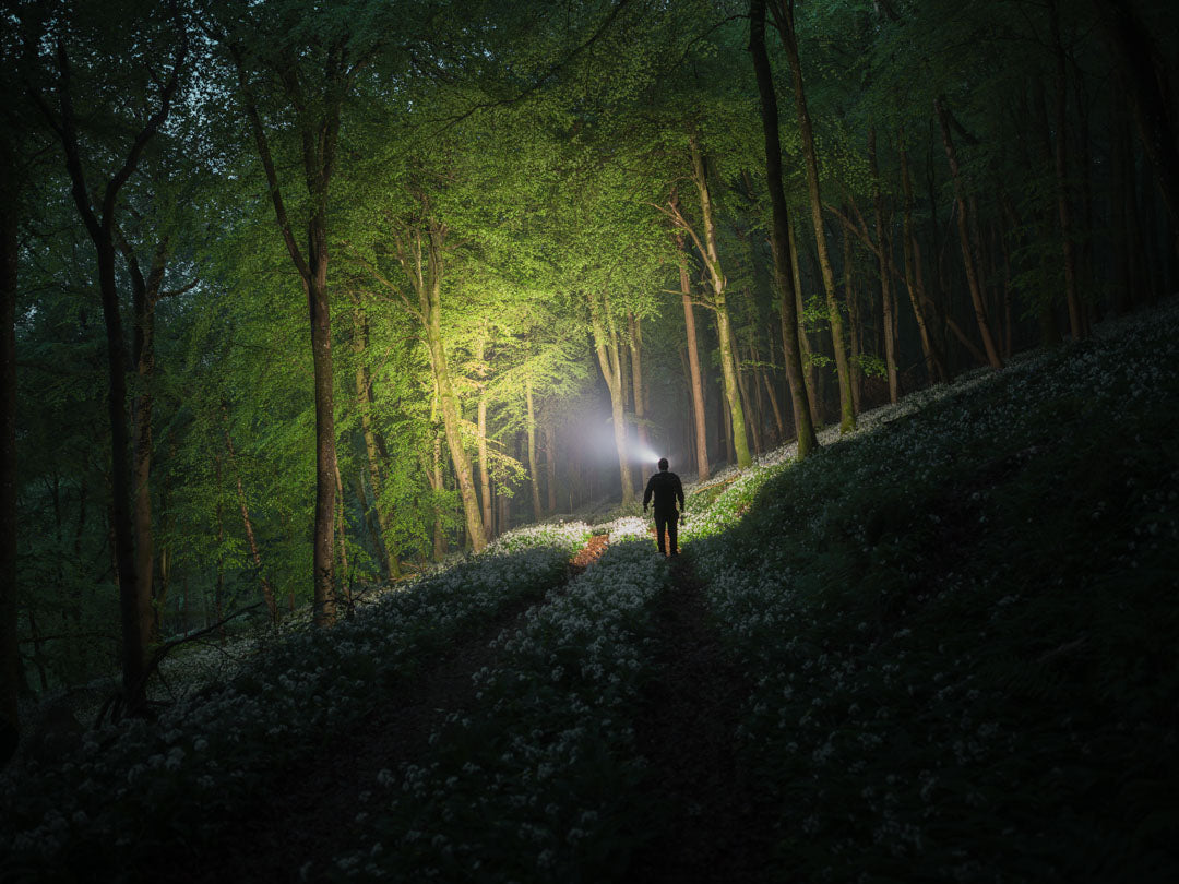 Walker with a Zweibruder head torch lighting a dark woodland path