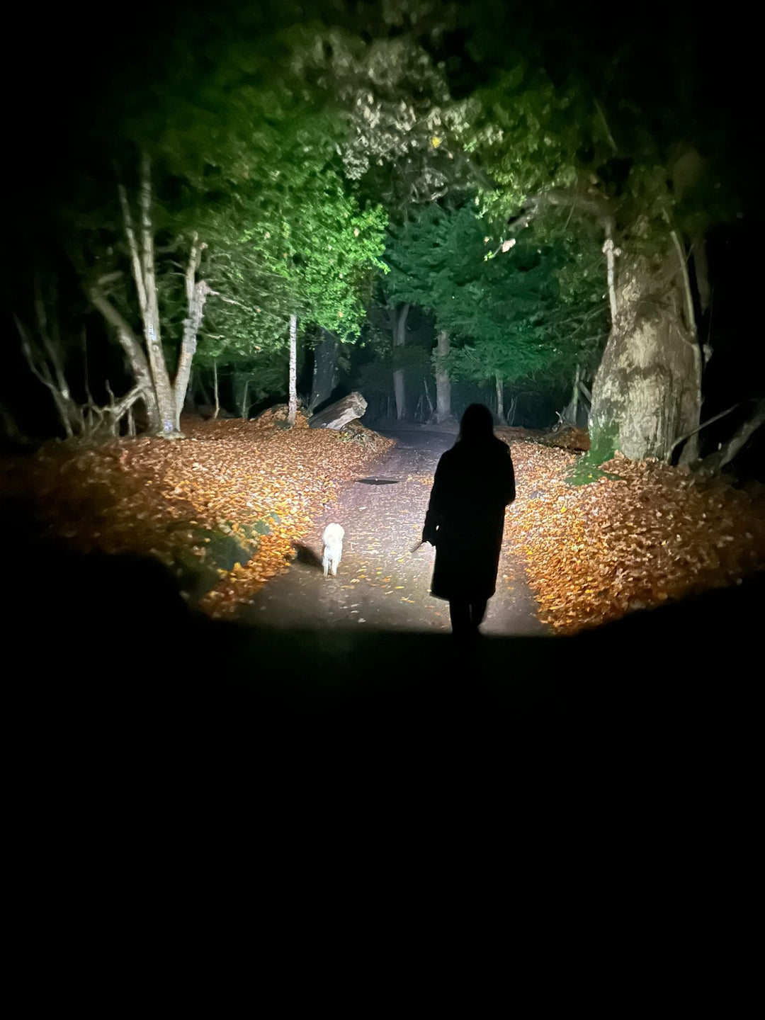 Zweibruder Launches in the UK – Premium German Engineered LED Torches & Headlamps Arrive